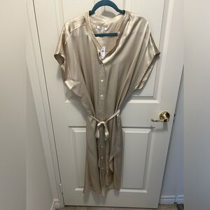 Banana Republic 100% Silk Dress, Champagne, NWT